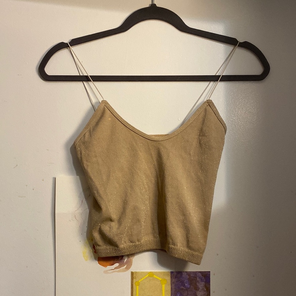 Cropped tan shimmery top